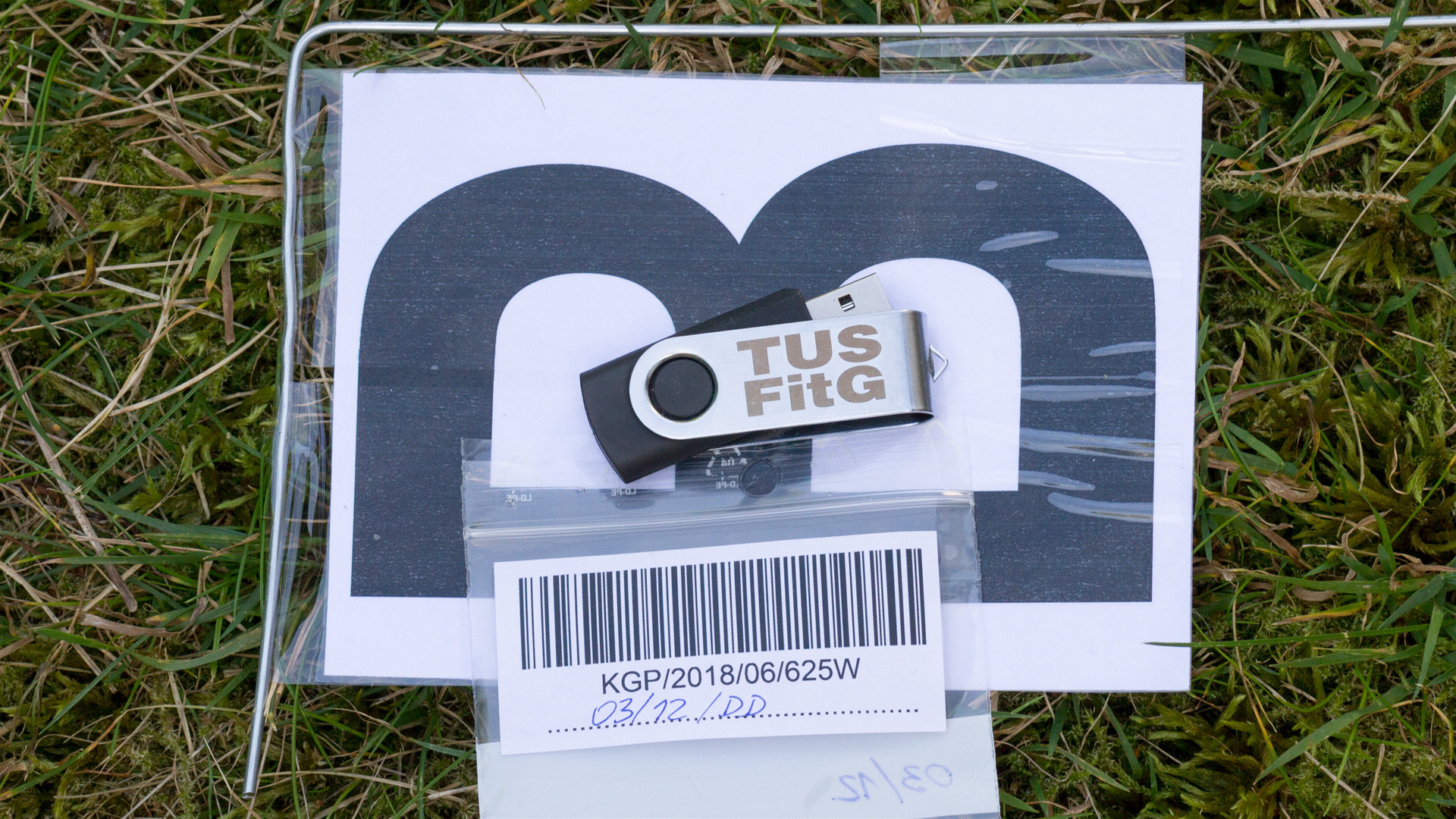 The USB Stick Found In The Grass Steam CD Key