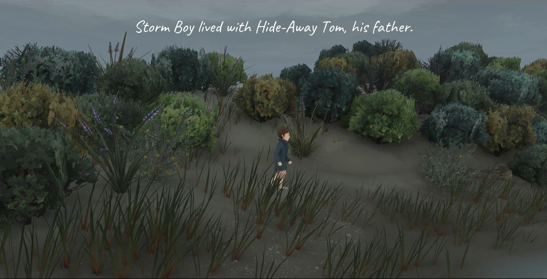 Storm Boy Steam CD Key