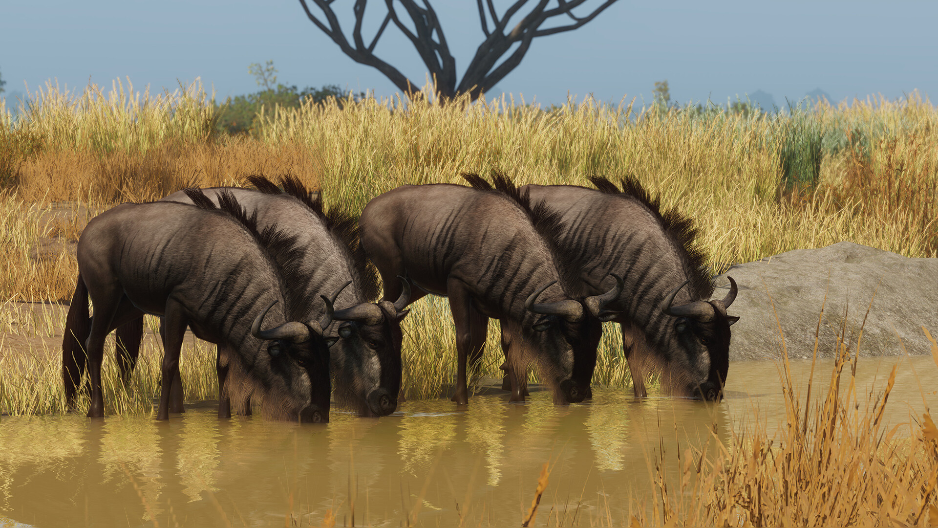 Planet Zoo - Grasslands Animal Pack DLC Steam CD Key