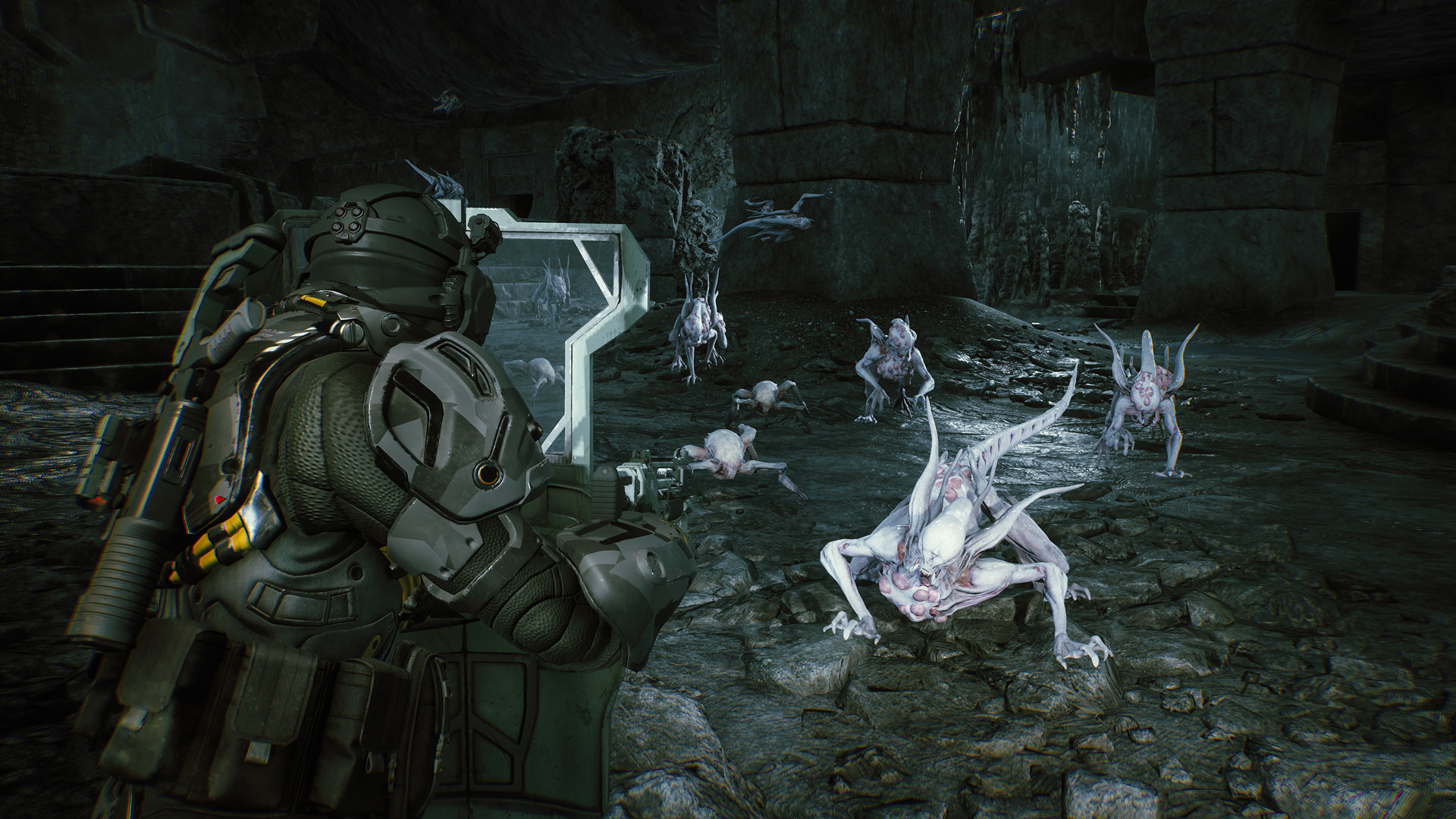Aliens: Fireteam Elite - Pathogen Expansion DLC Steam CD Key