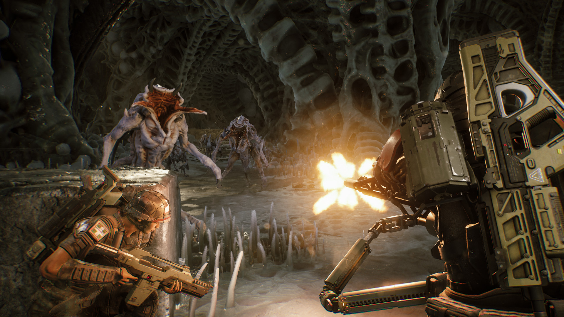 Aliens: Fireteam Elite - Pathogen Expansion DLC Steam CD Key