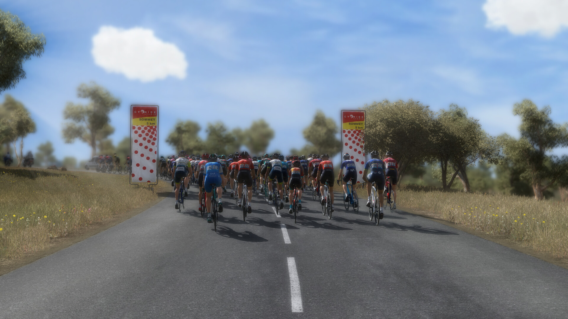 Pro Cycling Manager 2023 LATAM Steam CD Key
