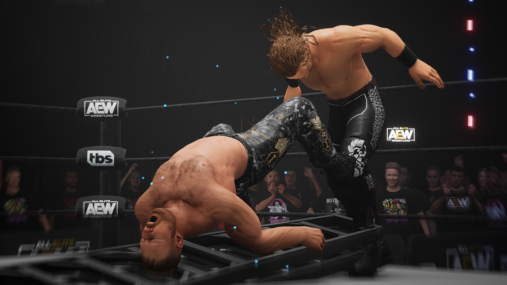 AEW: Fight Forever Steam Account