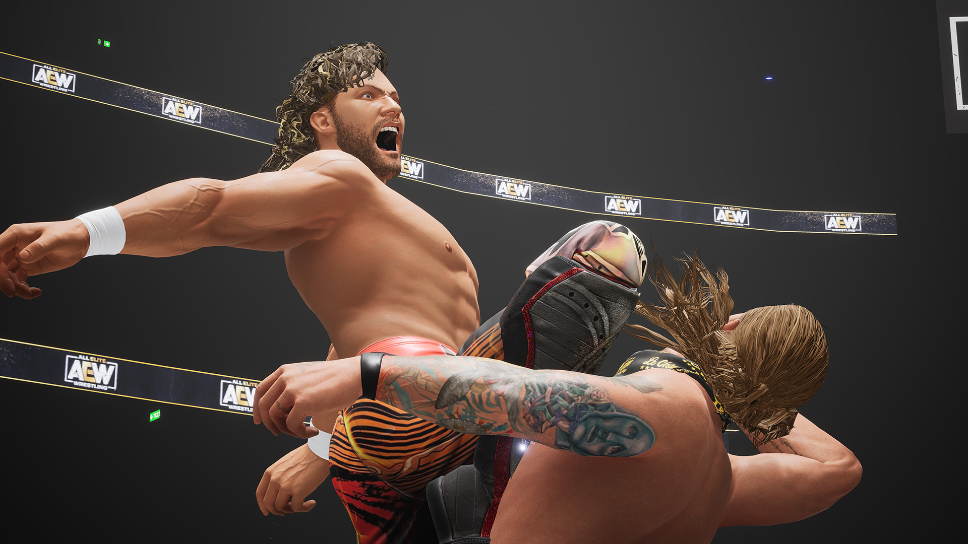 AEW: Fight Forever Steam Account