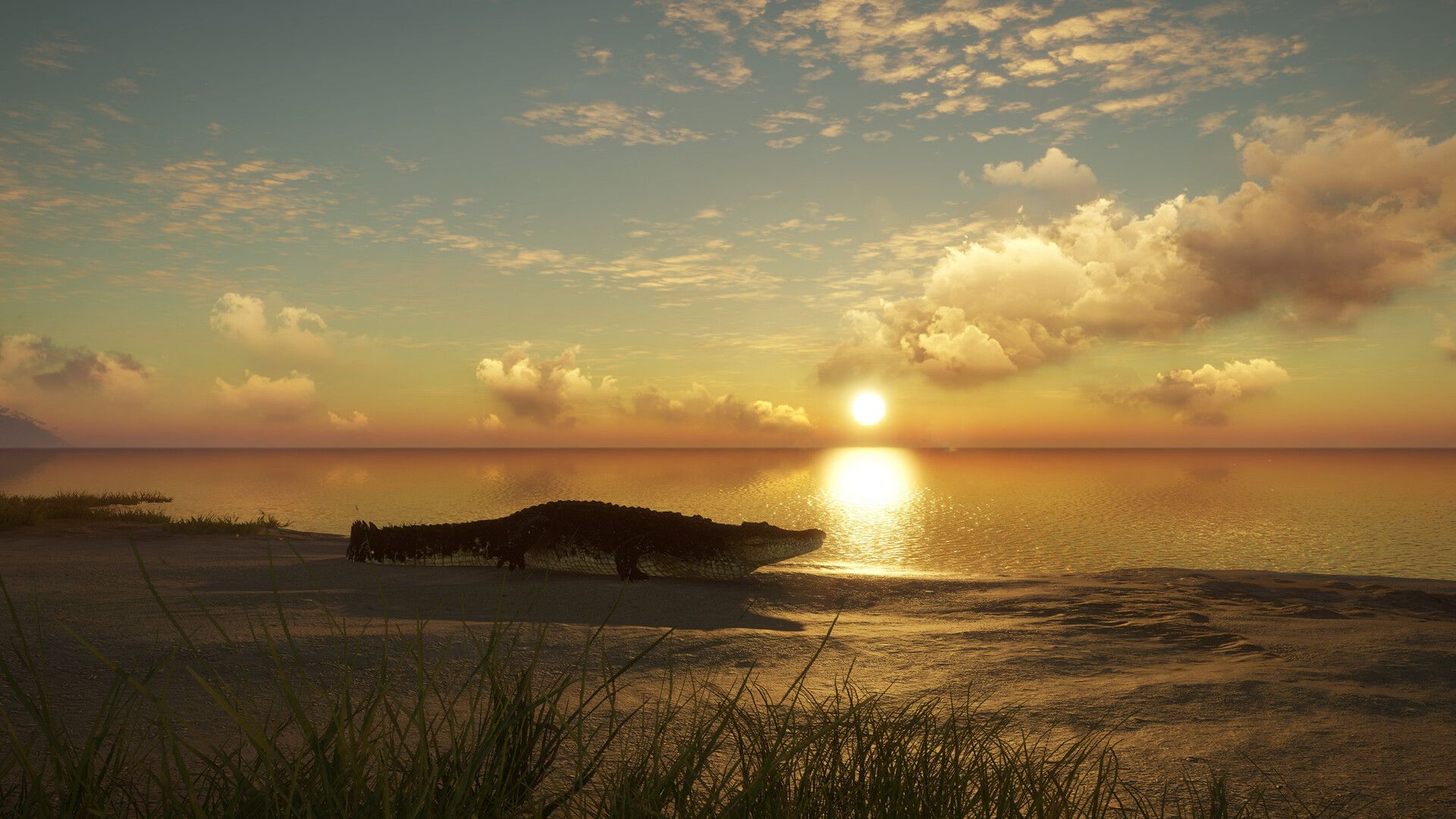 TheHunter: Call Of The Wild - Emerald Coast Australia DLC Steam CD Key