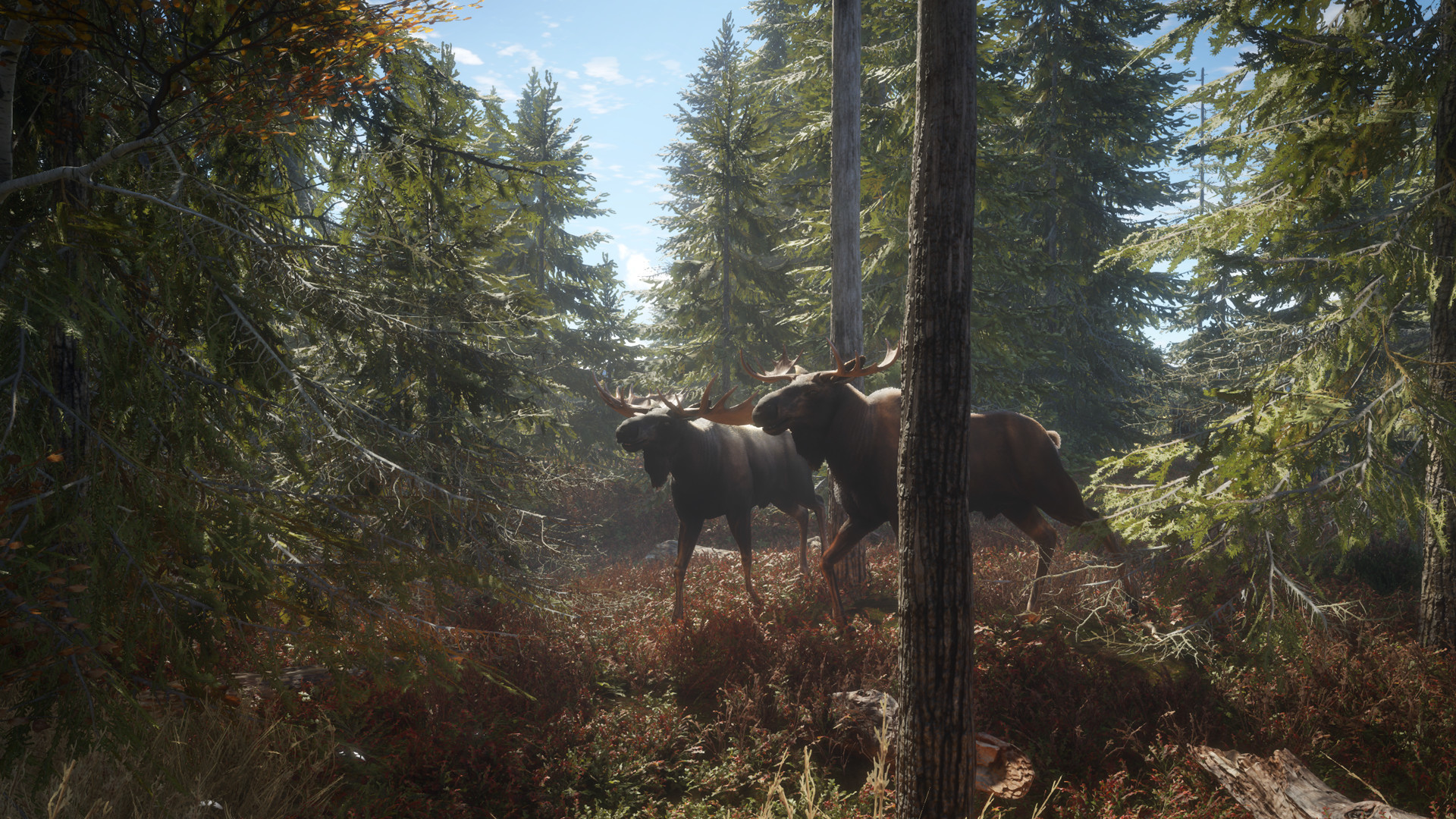 TheHunter: Call Of The Wild - Ultimate Starter Bundle Steam CD Key