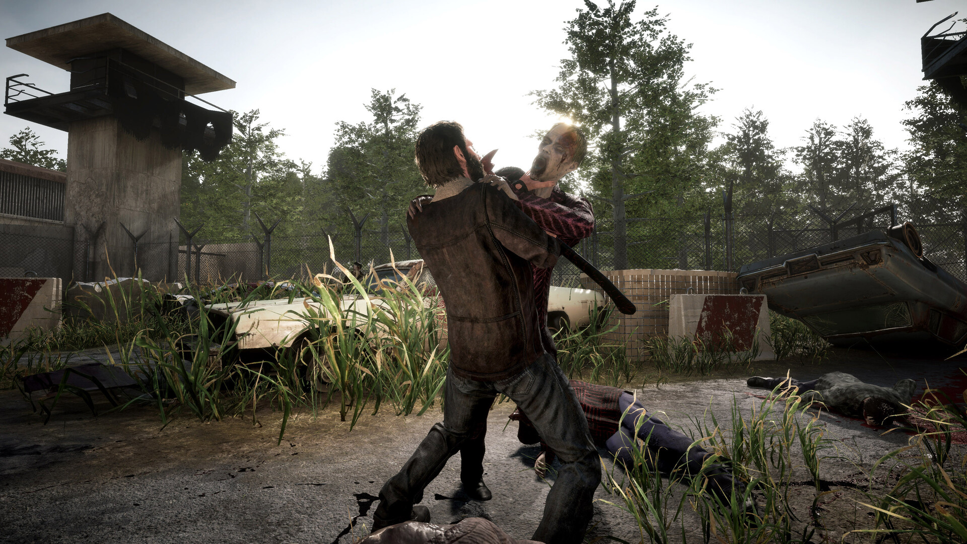 The Walking Dead: Destinies Steam CD Key