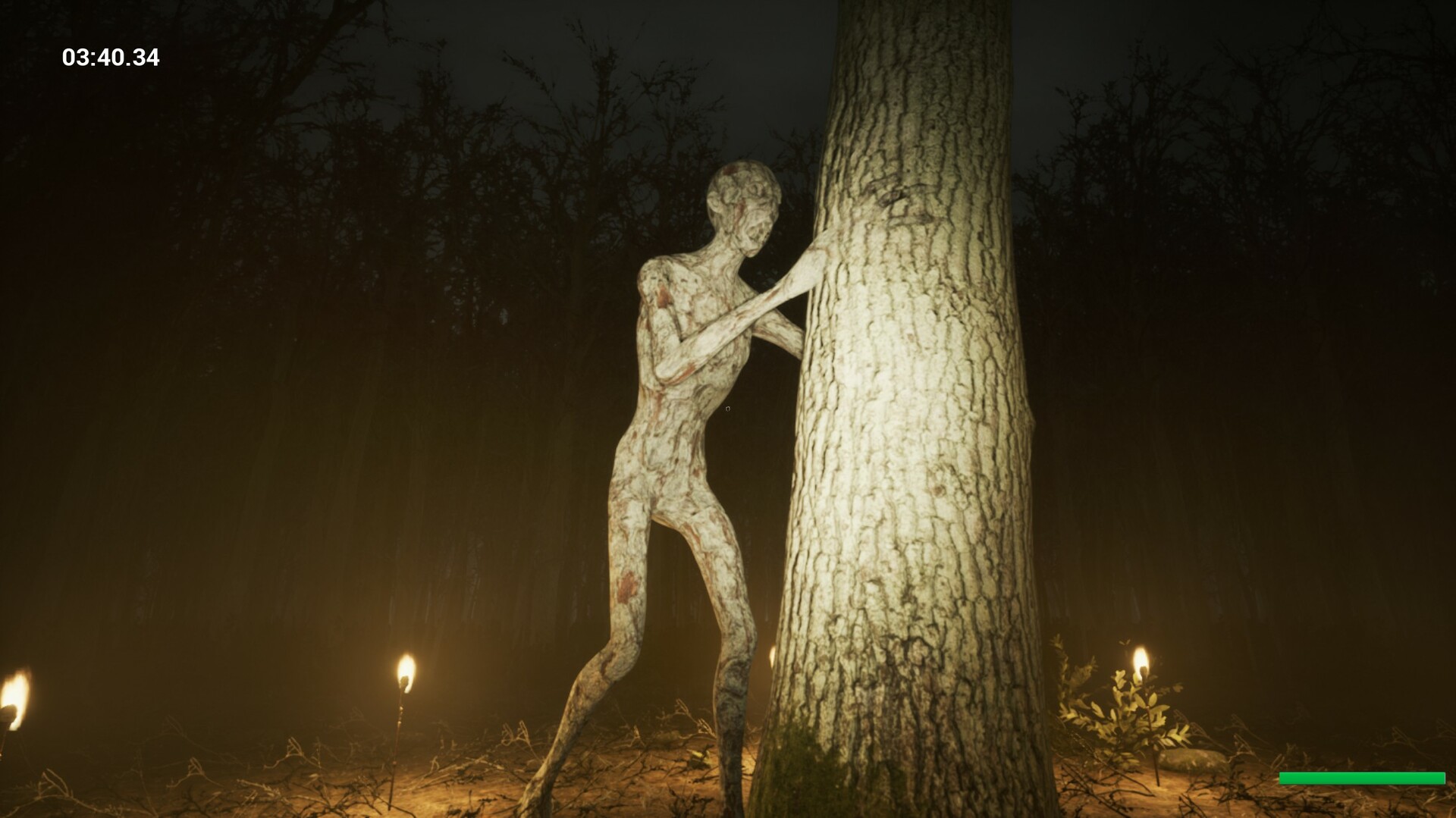 Slender Reborn PC Steam