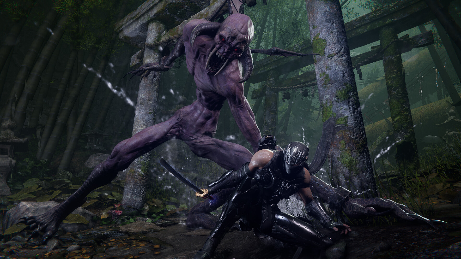 NINJA GAIDEN 4 Deluxe Edition Xbox Series X|S / PC CD Key