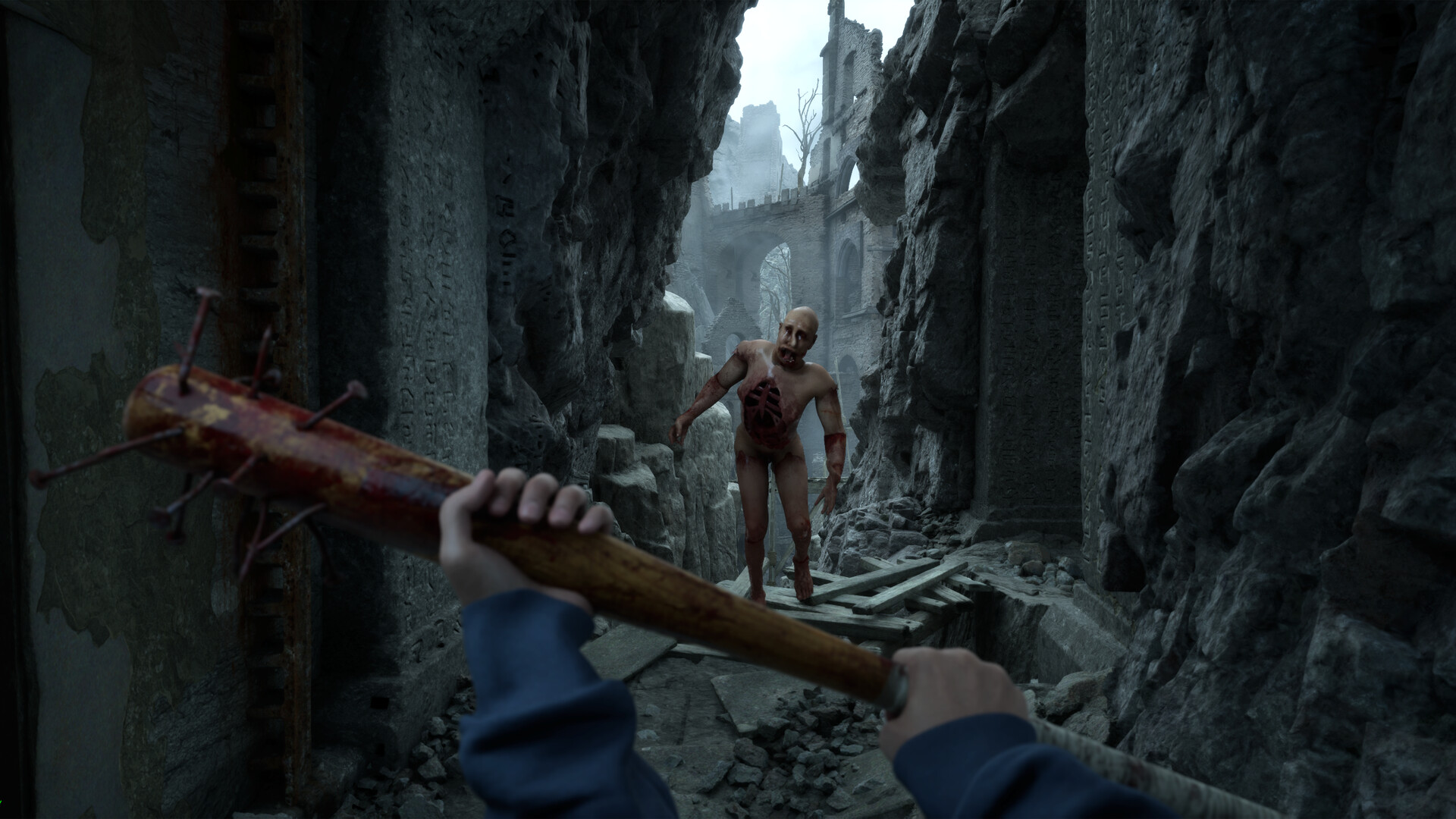 Bleak Haven PC Steam CD Key