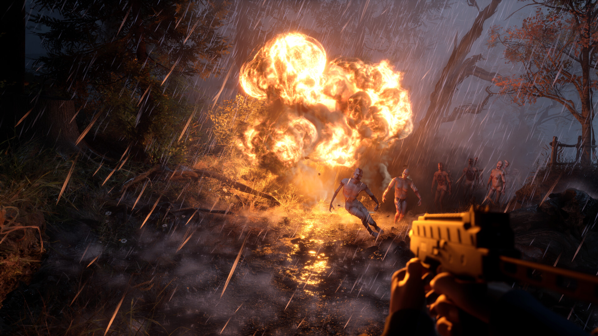 Bleak Haven PC Steam CD Key