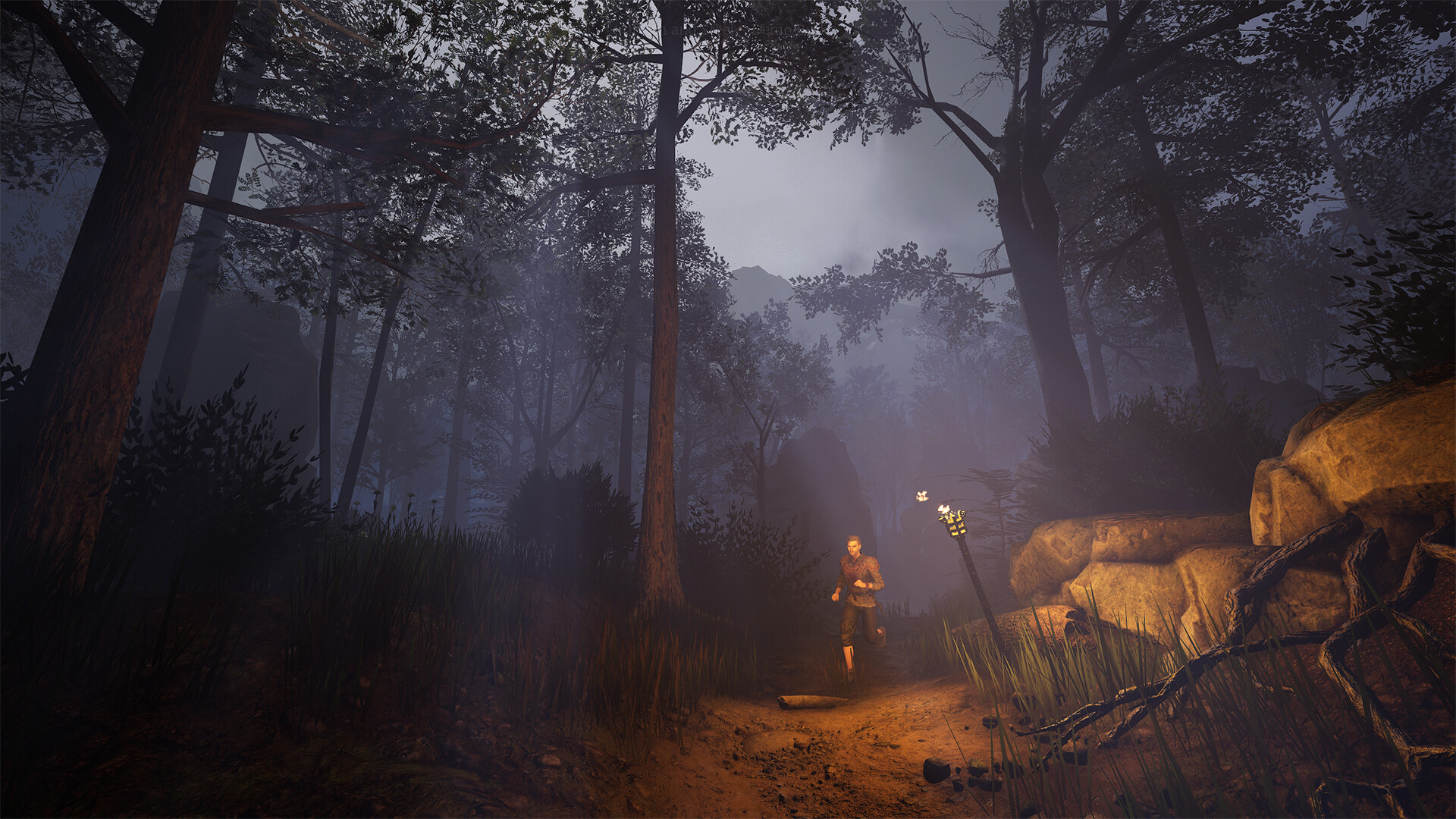 Of Ash and Steel PC Steam CD Key