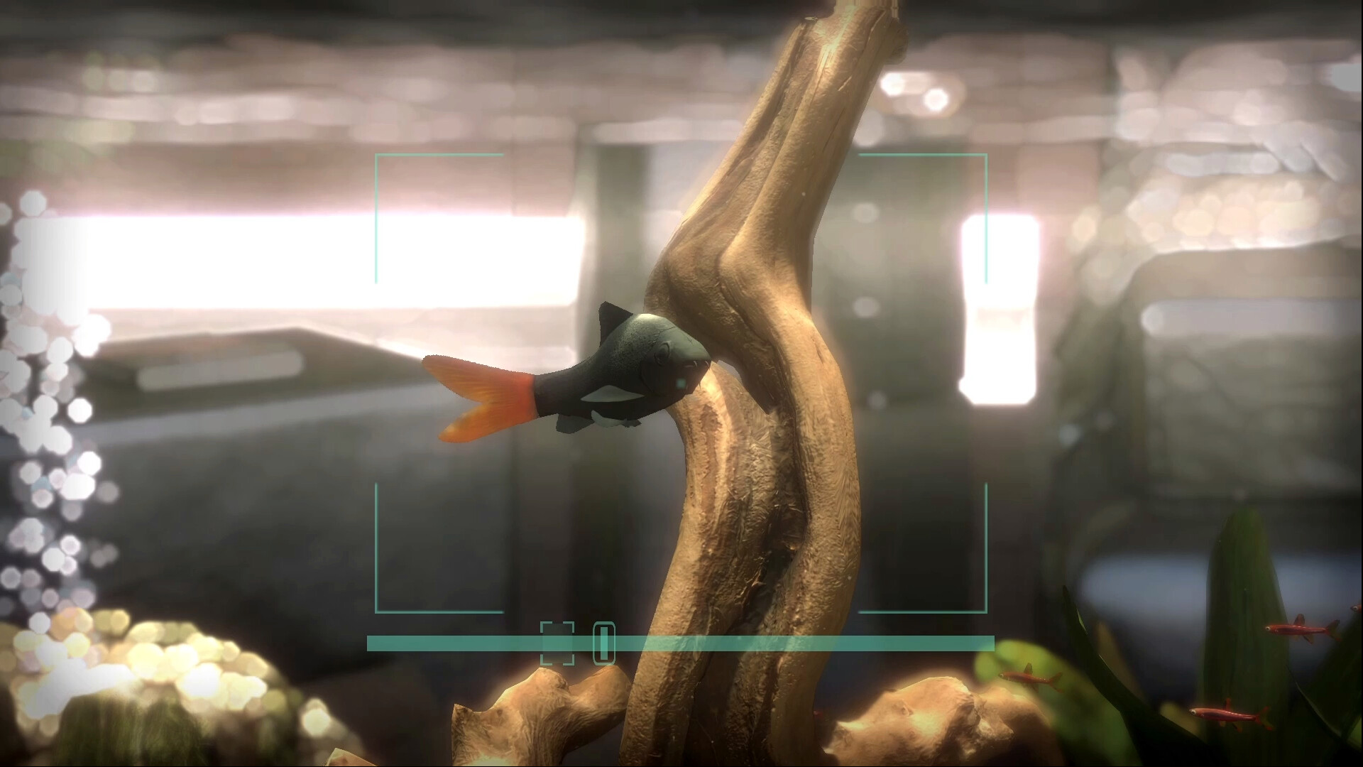 Snapshot Aquarium PC Steam