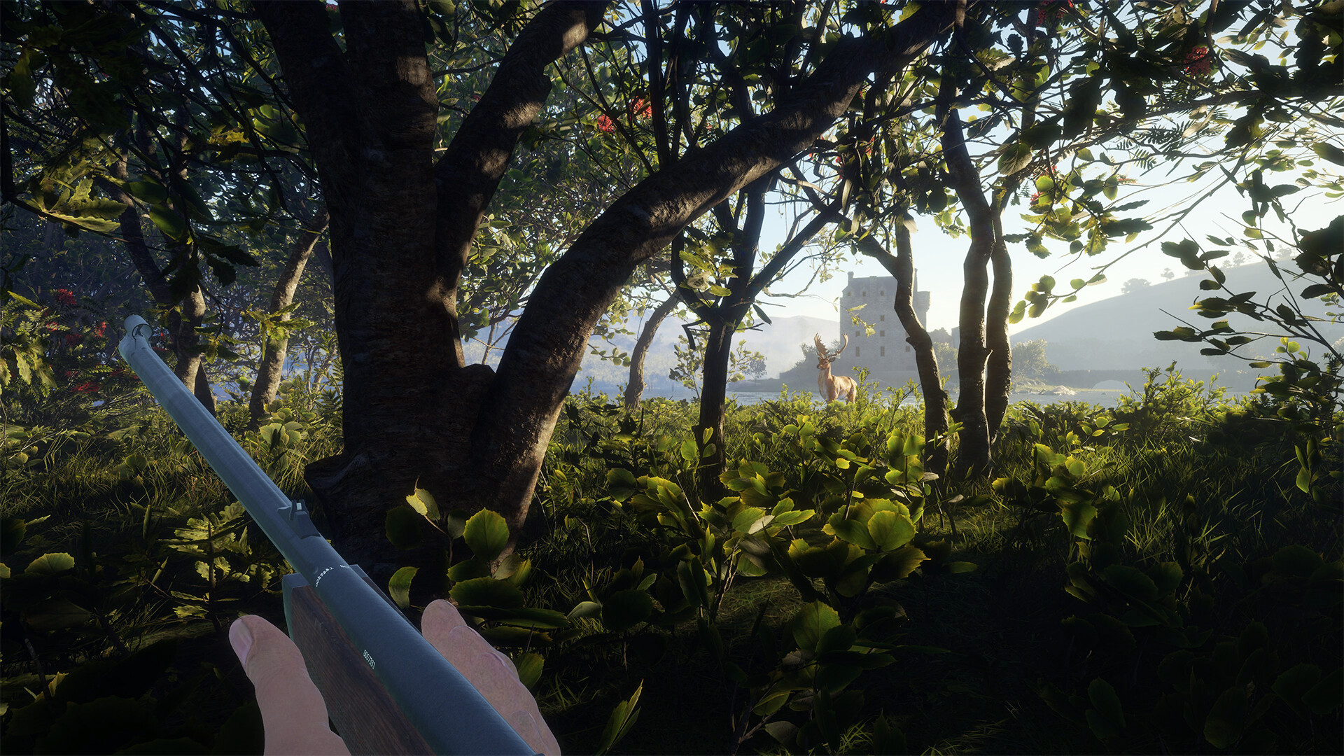 theHunter: Call of the Wild - Scotland Hunting Reserve DLC PC Steam CD Key