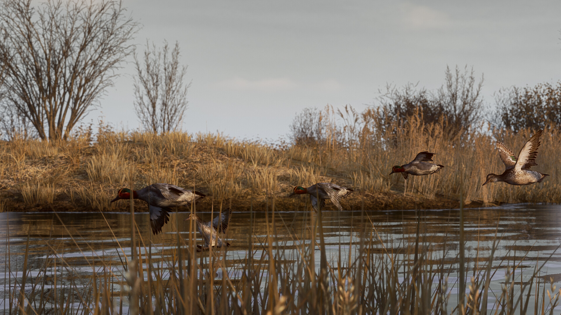 BULT: Hunting simulator PC Steam CD Key