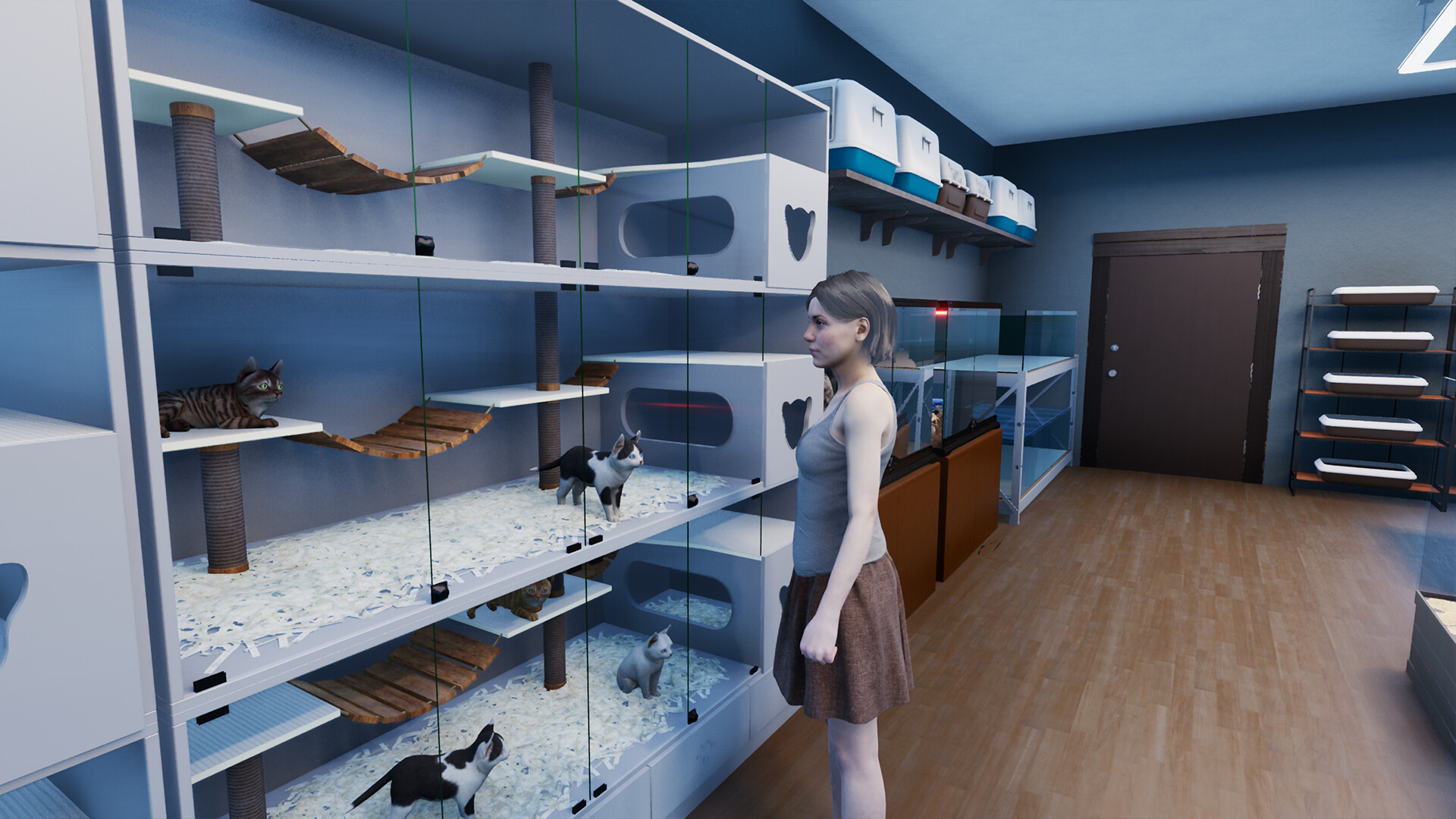 Exotica 2: Pet Shop Simulator PC Steam CD Key