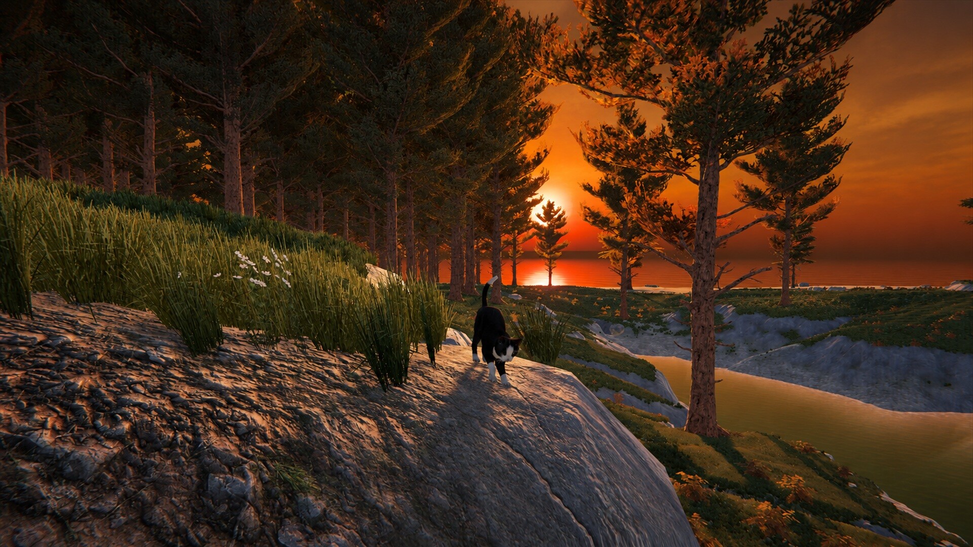 Cat Life PC Steam CD Key screenshot 3
