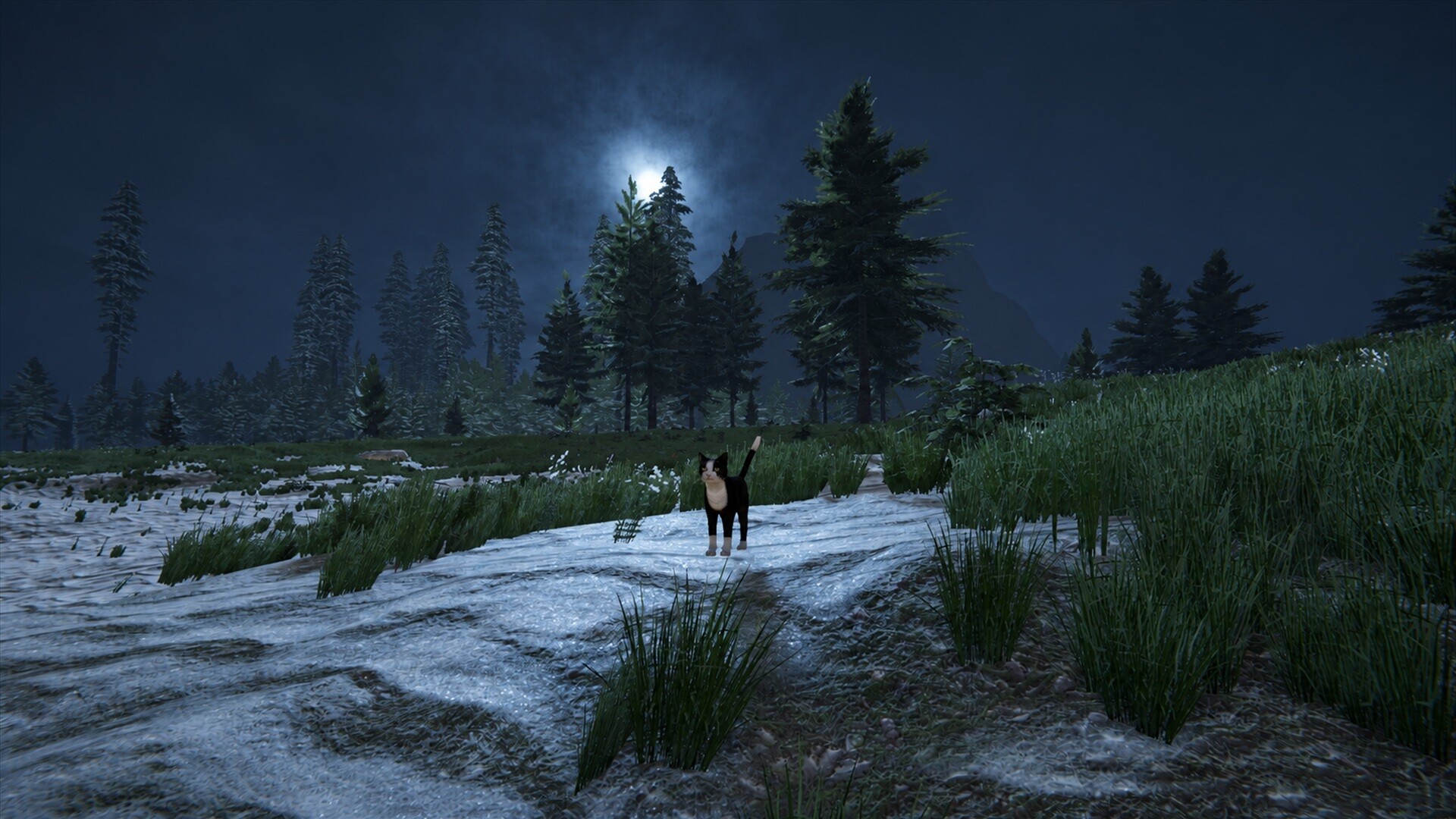 Cat Life PC Steam CD Key screenshot 5