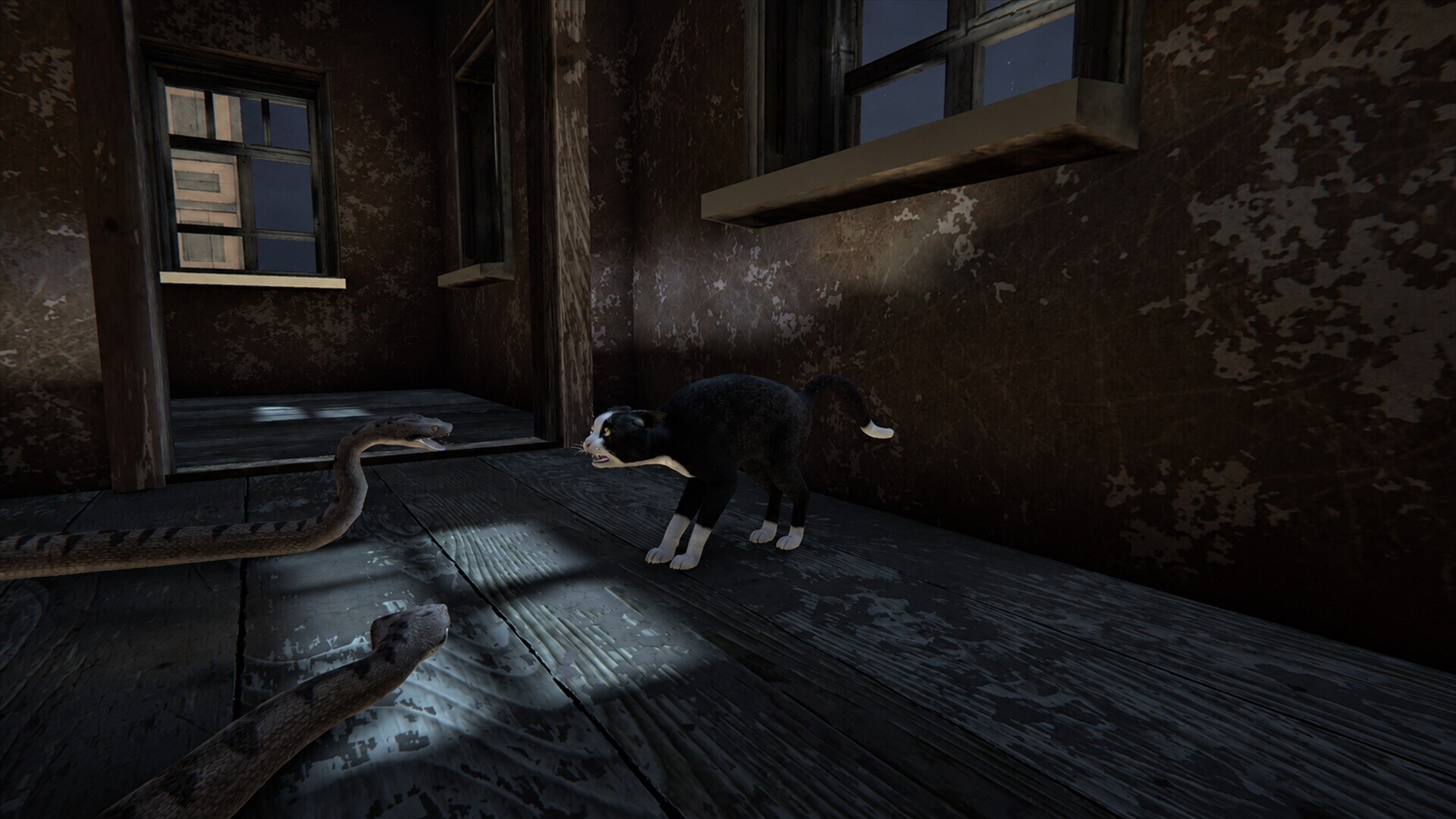 Cat Life PC Steam CD Key screenshot 4