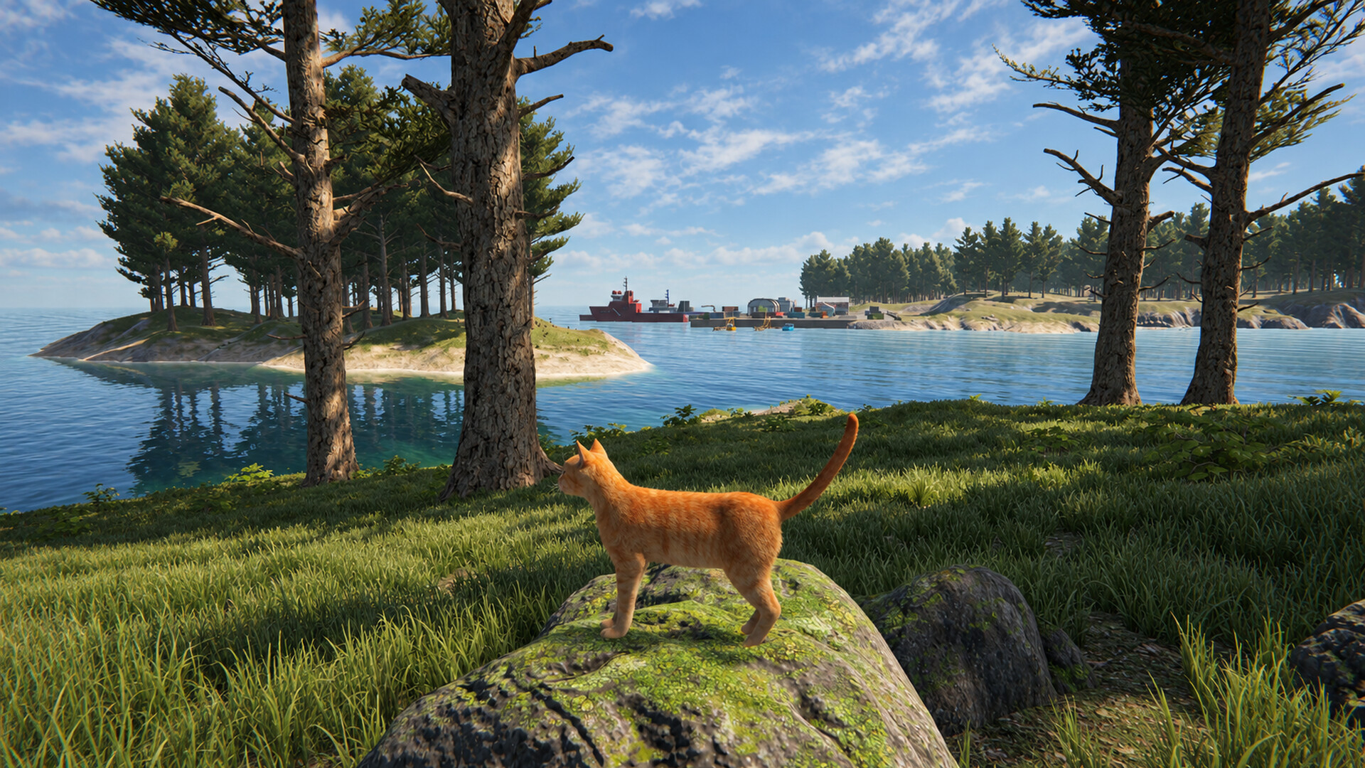 Cat Life PC Steam CD Key screenshot 1