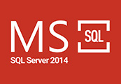 MS SQL Server 2014 CD Key screenshot 1