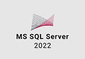 MS SQL Server 2022 CD Key