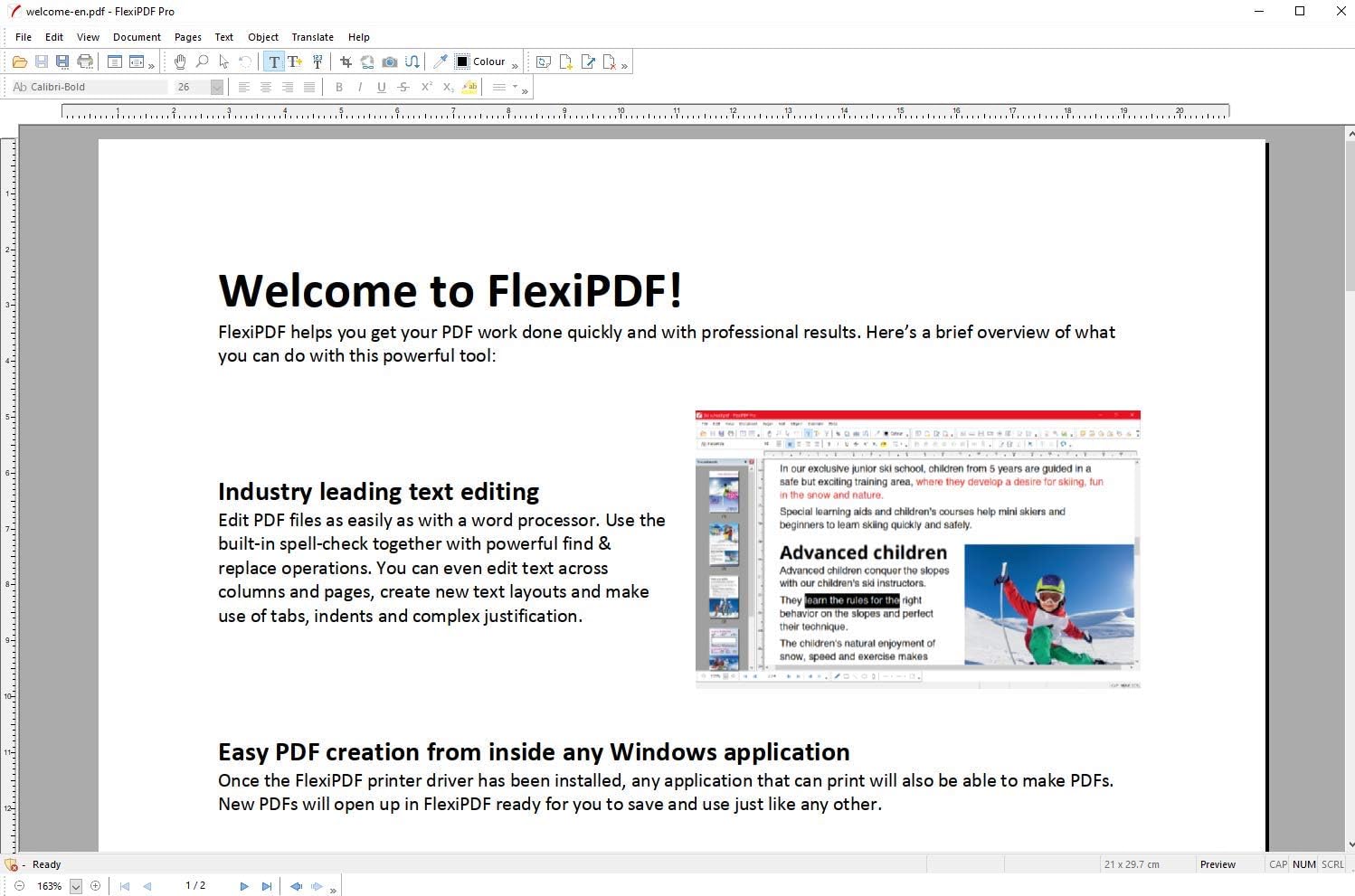 FlexiPDF Home & Business Key (Lifetime / 3 PCs)