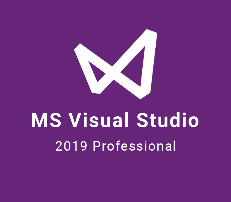 MS Visual Studio 2019 Professional