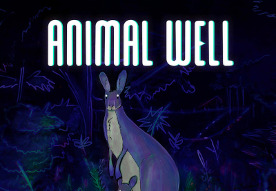 ANIMAL WELL PS5 Account