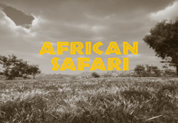 African Safari Steam CD Key
