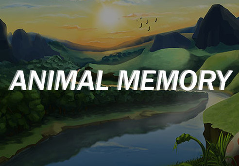 Animal Memory Steam CD Key