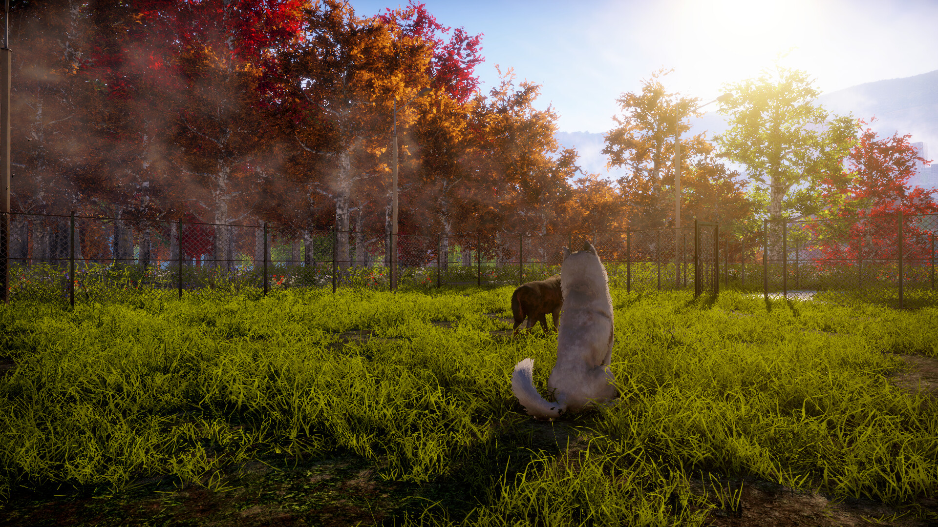 Animal Shelter 2 PC Steam CD Key