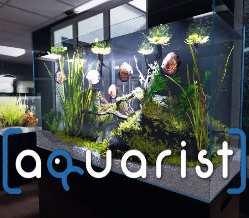 Aquarist NA PS5