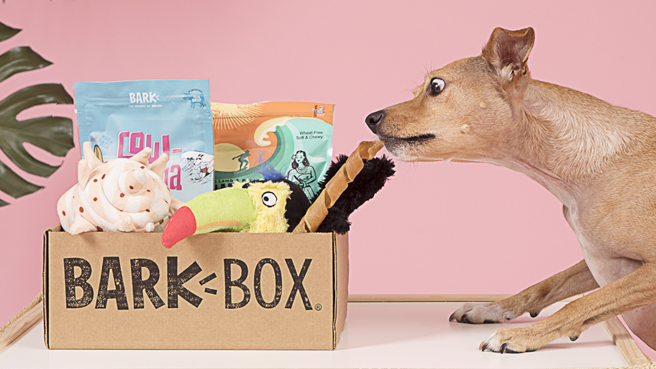 BarkBox $35 Gift Card US