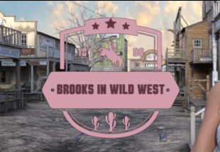 Brooks In Wild West Steam CD Key