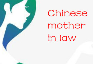Chinese Mother In Law Steam CD Key