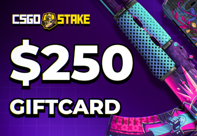 CSGOStake.com $250 Gift Card screenshot 1
