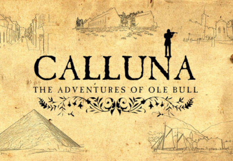 Calluna Steam CD Key