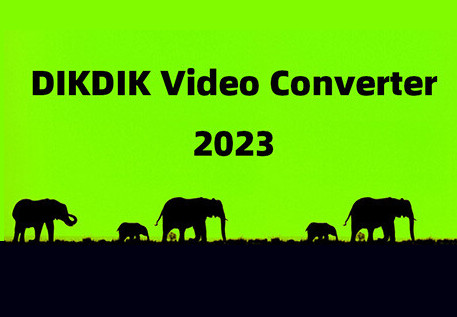 DIKDIK Video Converter Steam CD Key