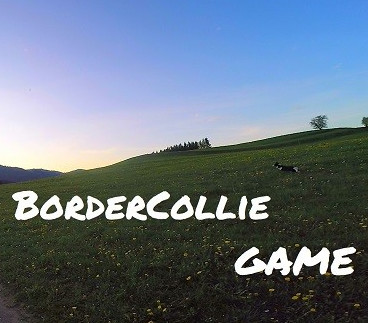 BorderCollie Game Steam