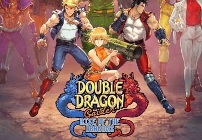 Double Dragon Gaiden: Rise Of The Dragons Steam Account