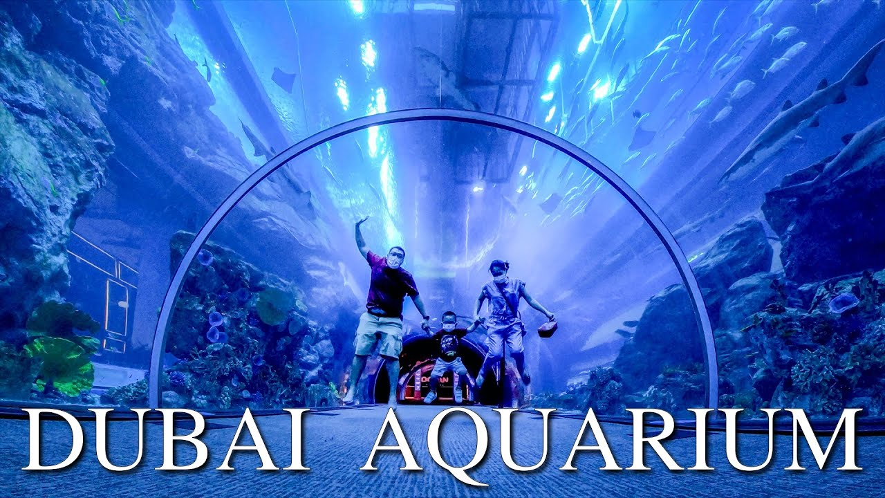 Dubai Aquarium & Underwater Zoo 100 AED Gift Card AE