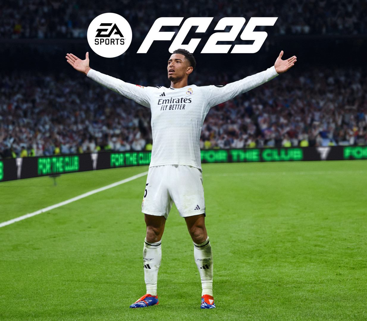 

EA SPORTS FC 25 Nintendo Switch Online Account Activation