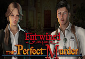 Entwined: The Perfect Murder Steam CD Key