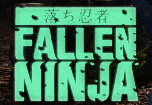 Fallen Ninja Steam CD Key