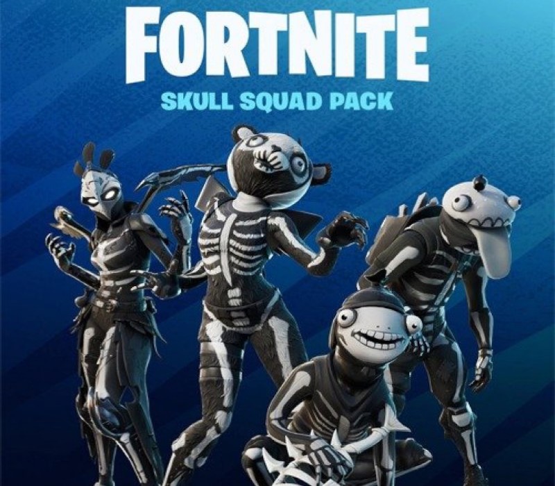 

Fortnite - Skull Squad Pack DLC Epic Games Account