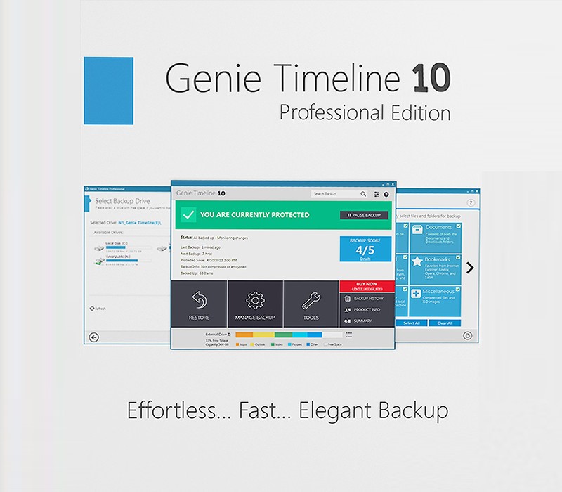 Genie Timeline Professional 10