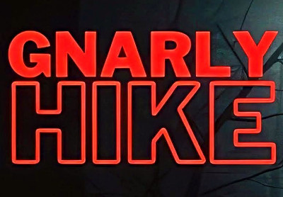 Gnarly Hike Steam CD Key screenshot 2