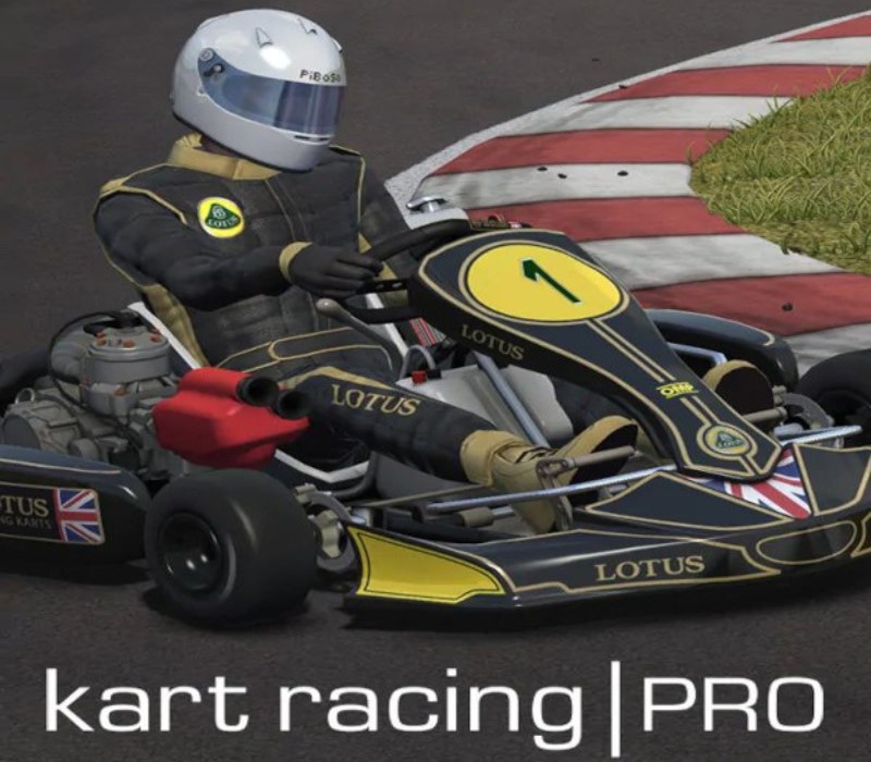 

Kart Racing Pro PC Steam Account