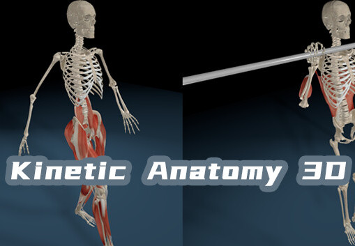 Kinetic Anatomy 3D PC Steam CD Key screenshot 2